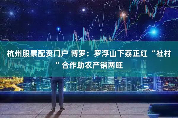 杭州股票配资门户 博罗：罗浮山下荔正红 “社村”合作助农产销两旺