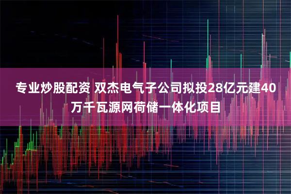 专业炒股配资 双杰电气子公司拟投28亿元建40万千瓦源网荷储一体化项目